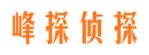 磐安婚外情调查